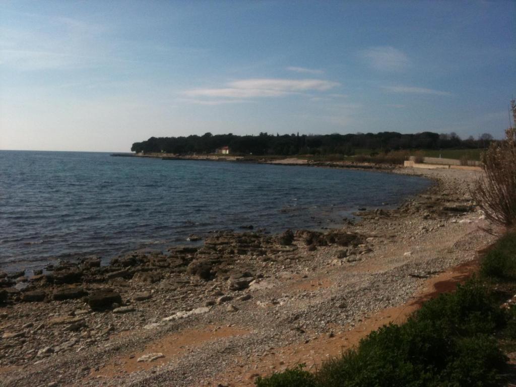 Apartments Mari Novigrad  ภายนอก รูปภาพ